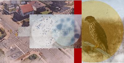 Beaks, Brakes, and Brainwaves