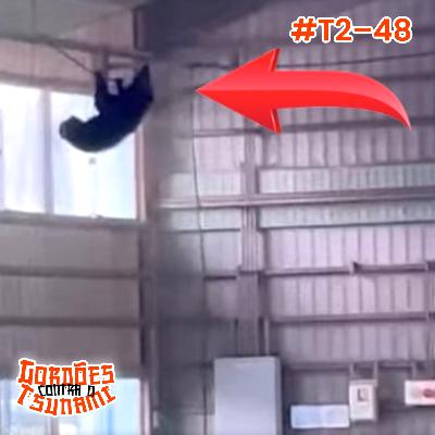 Urso invade escola japonesa, se pendura igual homem aranha e dispara: “tô nem aí meo” - #t248