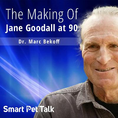 The Making of Jane Goodall at 90 The Making of Jane Goodall at 90