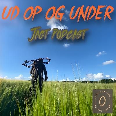 Bukkehviskeren på Sejerø