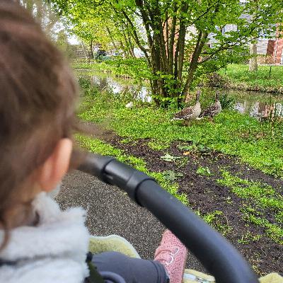 #SE02EP16 Rondje park gemaakt | Mijn fotoverhaal