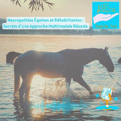 Neuropathies Équines et Réhabilitation : Secrets d’une Approche Multimodale Réussie ✨