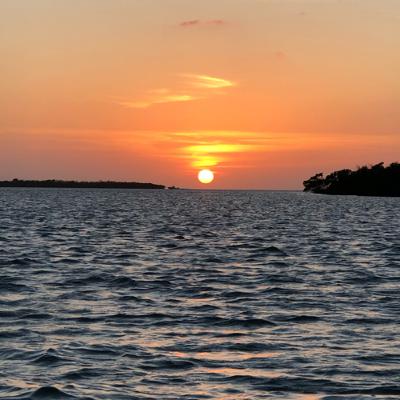 Saltwater Stories: Episode 1