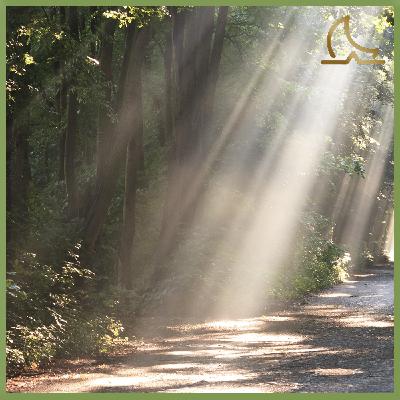 Awakening to the Divinity Within