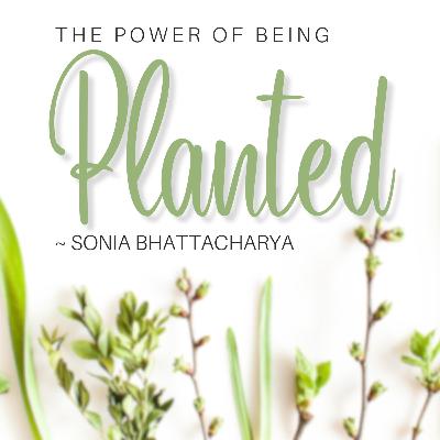 The Power of being Planted - Sonia Bhattacharya