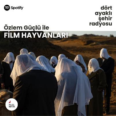 Film Hayvanları - Özlem Güçlü | Köpeğin Cenazesi