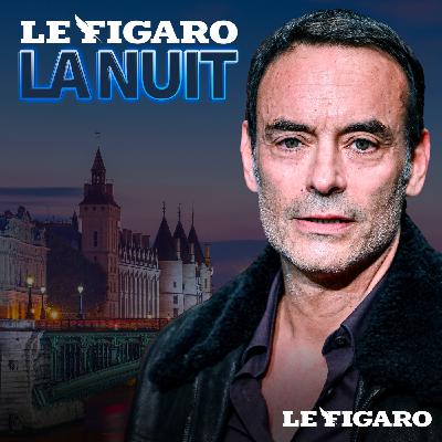 Un soir avec Anthony Delon : sa première grande interview depuis la mort de son père