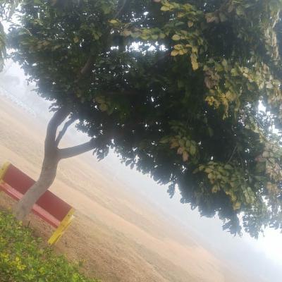 ग़ज़ल