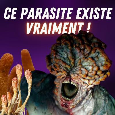 Cordyceps : le champignon bien réel qui a inspiré The Last of Us 🧟