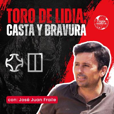 13-VII-25 Toro de lidia: casta y bravura. Con José Juan Fraile (ganadería el Puerto de San Lorenzo)