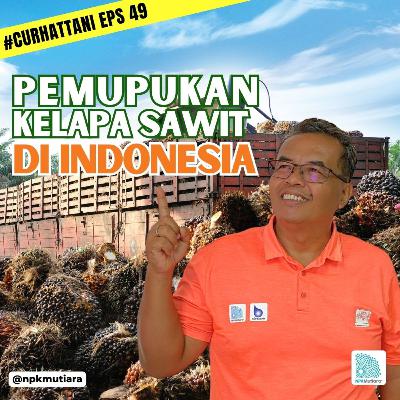 Pemupukan Kelapa Sawit Indonesia, Produsen CPO Terbesar Sedunia | CurHatTani #49