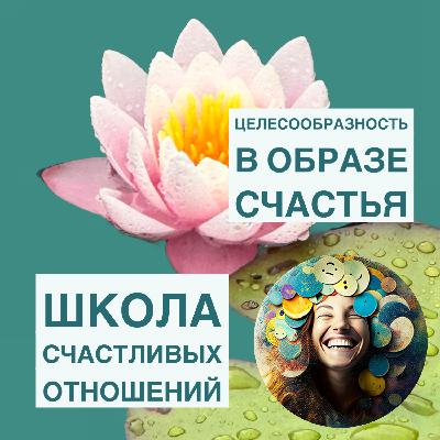 Почему целесообразность лучше плана и зачем нужен образ счастья