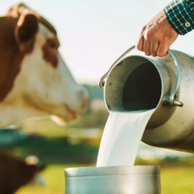 Crise no setor leiteiro mobiliza entidades e será debatida em audiência pública na Alesc