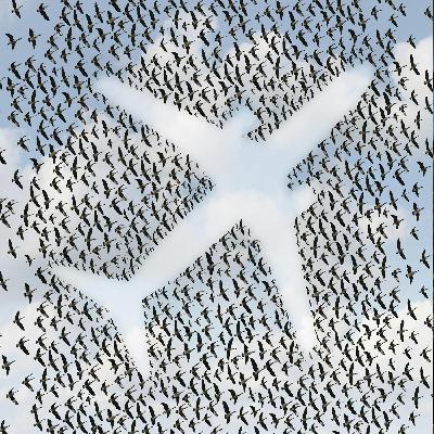 A call for introduction of an Irish air travel levy A call for introduction of an Irish air travel levy