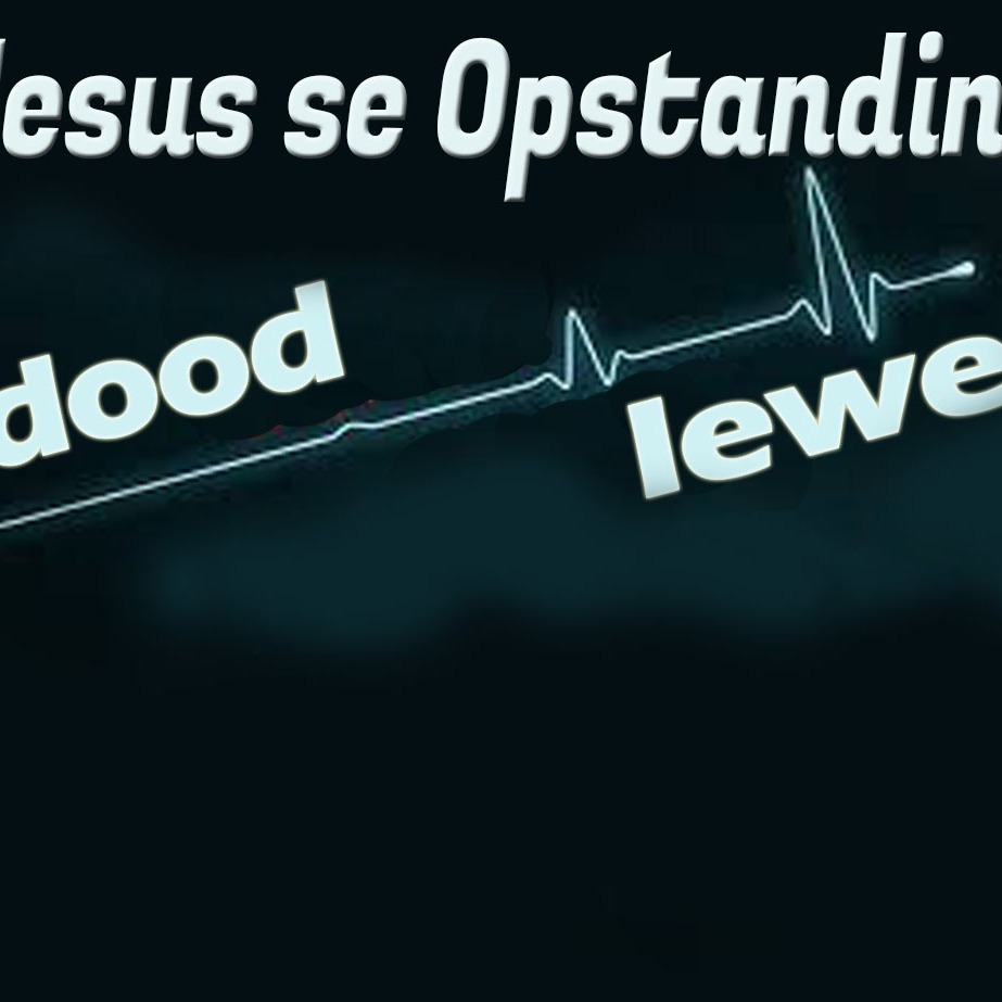 Christensentrum Elspark