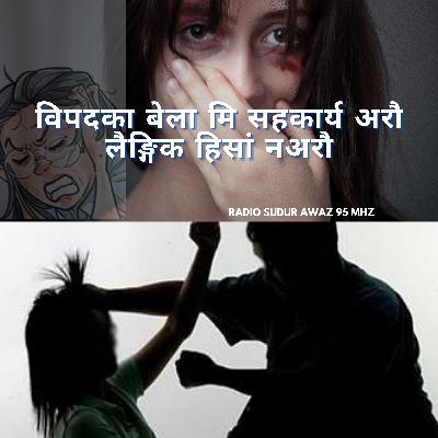 विपदका बेला मि सहकार्य अरौ लैङ्गिक हिसां नअरौ