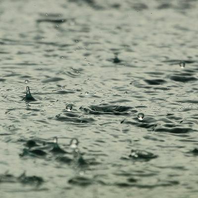 Light Summer Rain Light Summer Rain