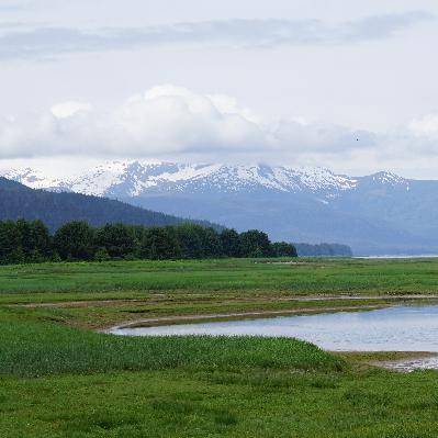 Conservation Focus: Mendenhall Wetlands