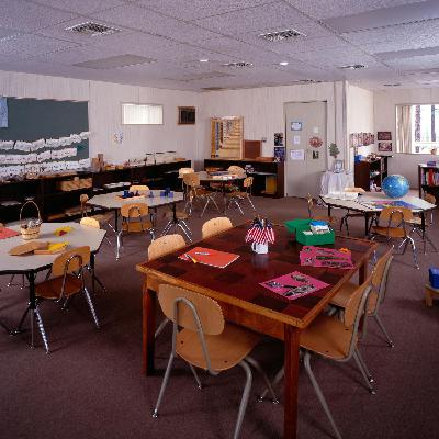 How healthy are the hot school meals?