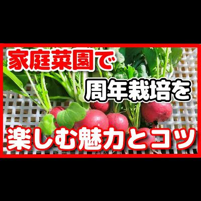 家庭菜園で周年栽培を楽しむ魅力とコツ【