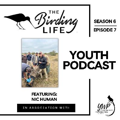 Season 6: Ep 7 | The Story of Nic Ross: From Safari Guide to Veterinary Student