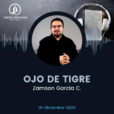 Ojo de Tigre - Zamson García C. - Visión CDMX