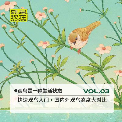 快速观鸟入门，国内外观鸟态度大对比｜vol.03 就是现在