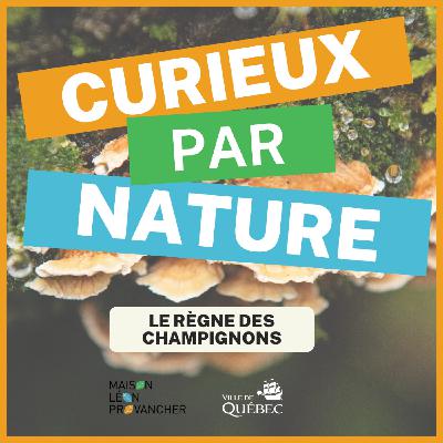 Curieux par Nature: Le règne des champignons