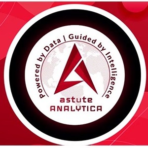 Overview of Global Data Annotation Tools Market Overview of Global Data Annotation Tools Market