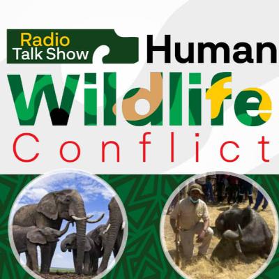 Human-wildlife conflict