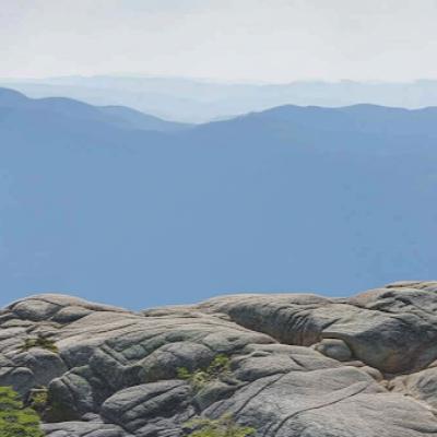 Episode 14: Less mandates more dates with women