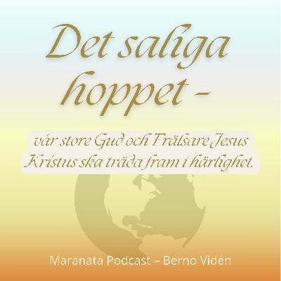 Det saliga hoppet | Berno Vidén