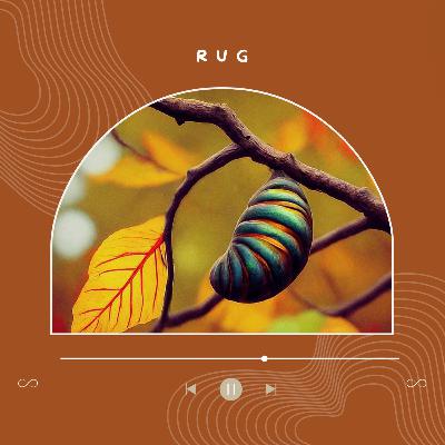 La pequeña Rug La pequeña Rug