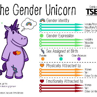 The Gender Unicorn and the Roles We Take