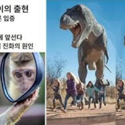 2025-09-14 구조론 89회 도구원숭이의 출현