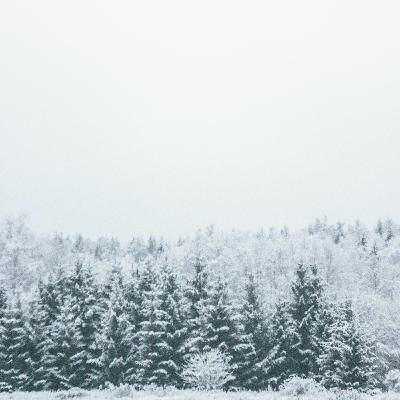 Episood 20. Miks sa tegid selle pildi?