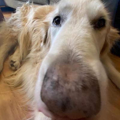 Overgang basisschool naar middelbare school