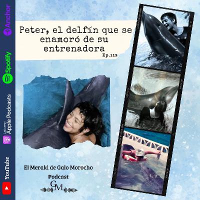Episodio #113 Peter, el delfín que se enamoró de su entrenadora