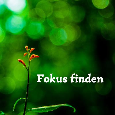 #65 Konzentration und Fokus finden