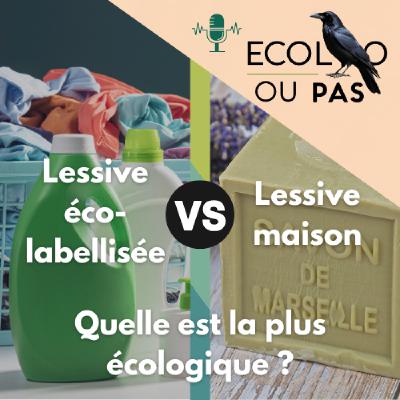 Lessive maison vs lessive éco-labellisée : quelle est la plus écologique ? Lessive maison vs lessive éco-labellisée : quelle est la plus écologique ?