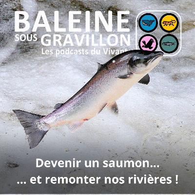 Attention : retrait des rediffs/best of d'été d'ici le 29 septembre... et quelques autres infos