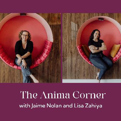The Anima Corner: CURIOSITY The Anima Corner: CURIOSITY