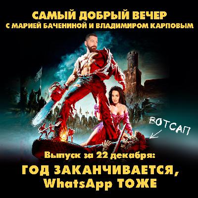 Россияне скупают новогодние подарки своим питомцам, а мат повышает выносливость на 11%