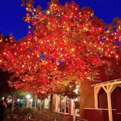 Minnie-sode: The Legend of Disneyland's Halloween Tree