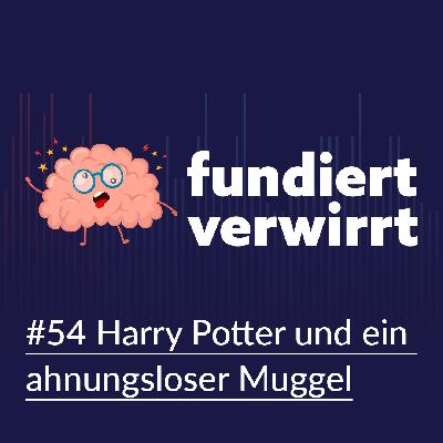 Harry Potter und ein ahnungsloser Muggel