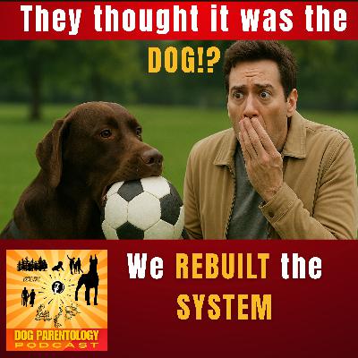 Unsolvable Dog Behaviour Case - so we upended their LIFESTYLE!