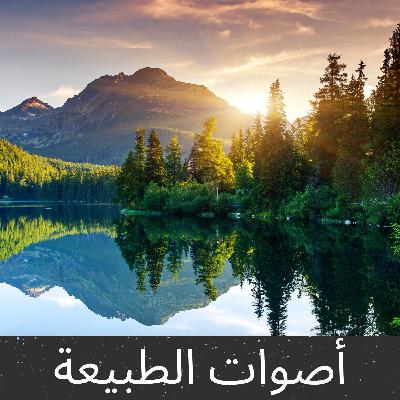الضوضاء الزرقاء - 10 ساعات للنوم والتأمل والاسترخاء