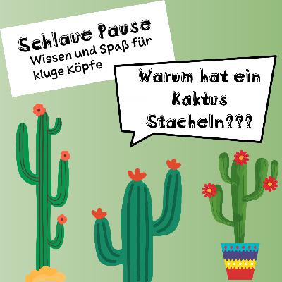 Warum hat ein Kaktus Stacheln?