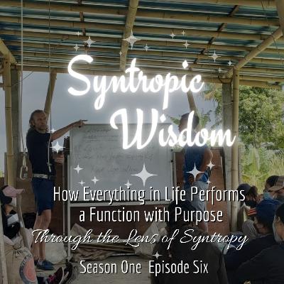 #Syntropy: 🌿🎤 How Everything in Life Performs a Function with Purpose✊🕊️ #Syntropy: 🌿🎤 How Everything in Life Performs a Function with Purpose✊🕊️