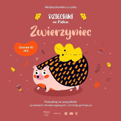 ZWIERZYNIEC: ODC 10 - JEŻ